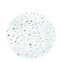 Leonor Greyl Tonique Vegetal 5 Leonor Greyl Tonique Vegetal - Image 3